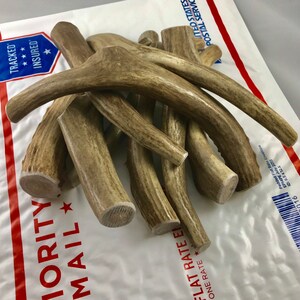 Deer antler outlet chews for dogs