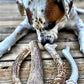 Deer Antler Dog Chew